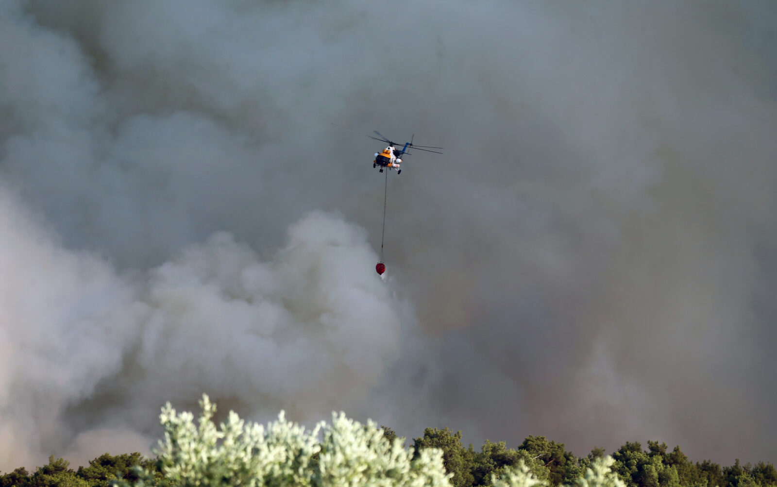 Türkiye grapples with widespread wild fires: 7 detained as new blazes erupt