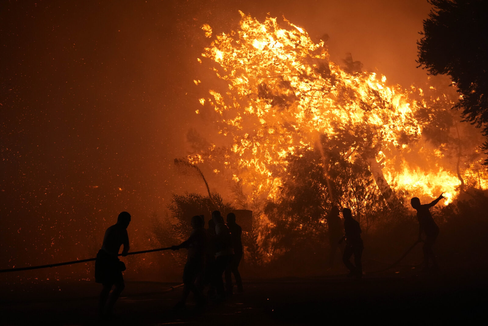 Survival guide to Izmir's escalating wildfire as firefighting efforts intensify