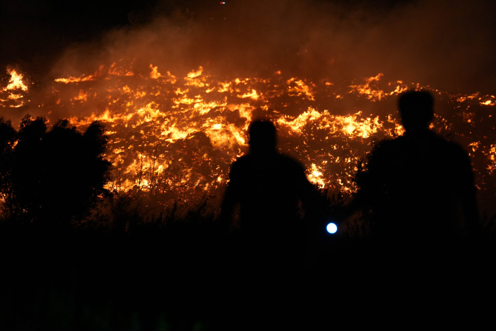 Survival guide to Izmir's escalating wildfire as firefighting efforts intensify