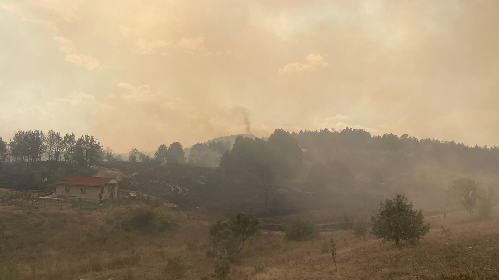 Massive fire forces village evacuation as blaze spreads from Ankara to Bolu