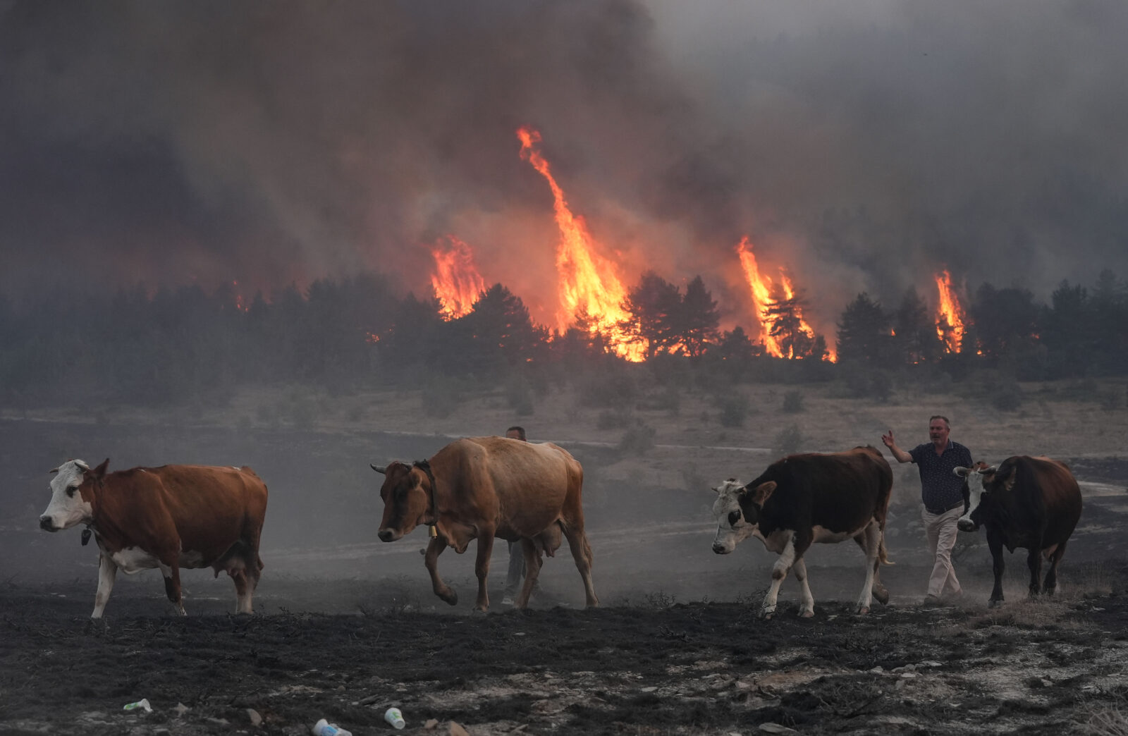 Climate crisis in Türkiye: Addressing rising threat of extreme weather