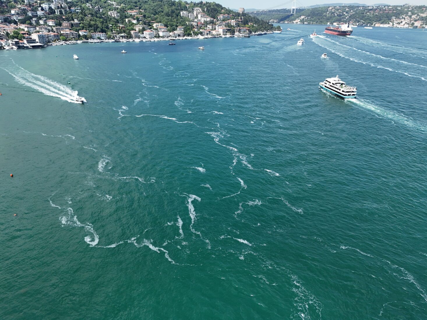 Marmara Sea in coma: Oxygen crisis and rising temperatures, brink of disaster