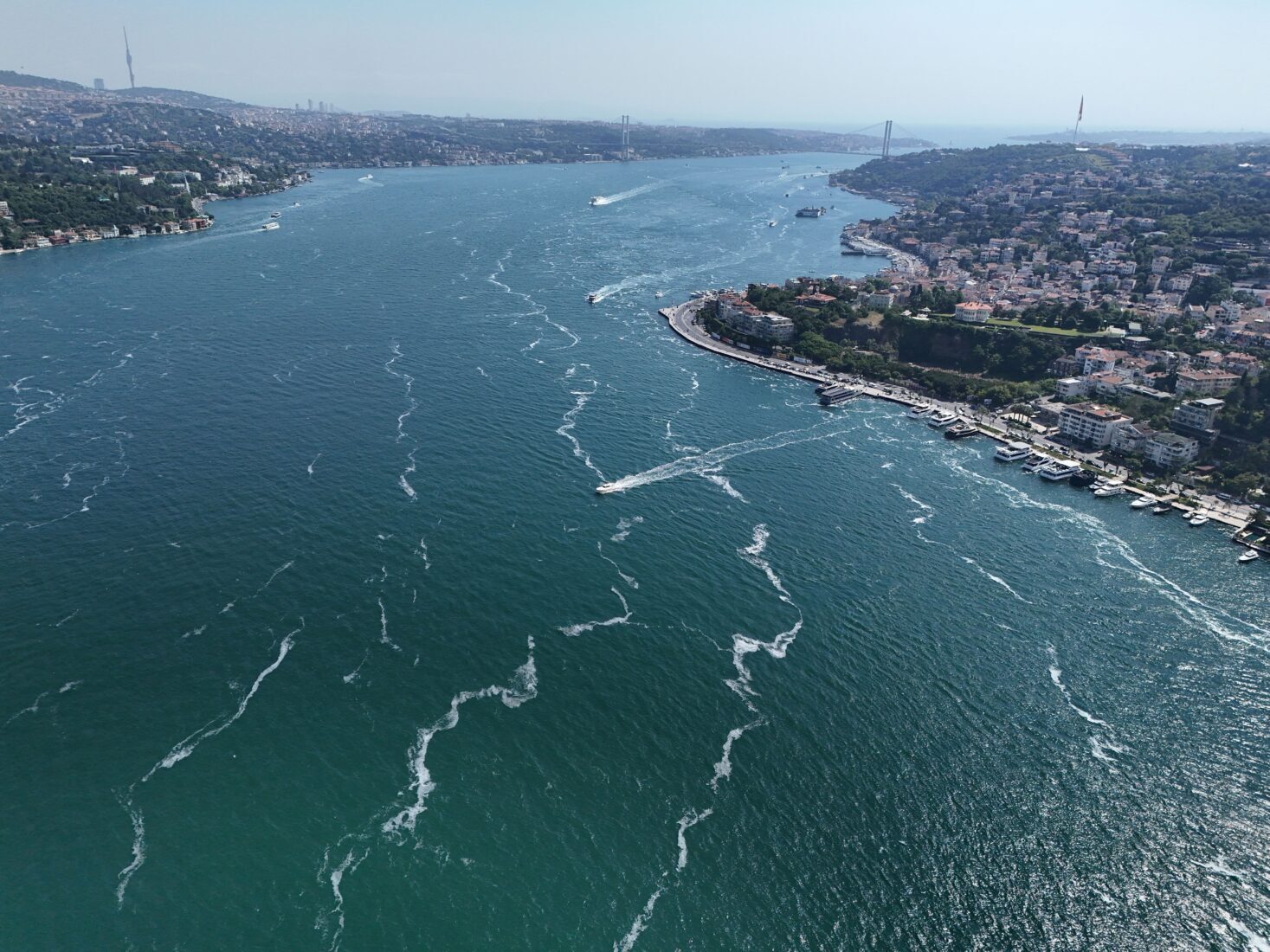 Mucilage in Marmara Sea