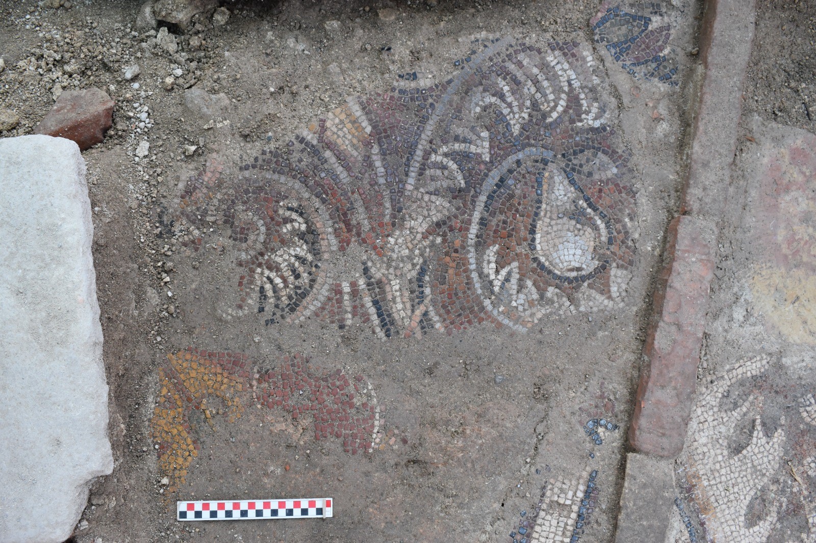 Early Byzantine floor mosaic discovered in Church of St. Constantine and Helena Monastery in Türkiye