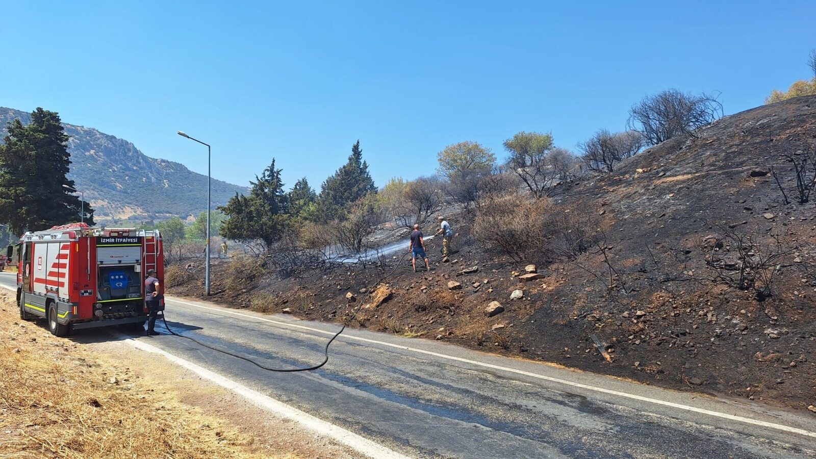 Fire near Türkiye's ancient city Ephesus under control