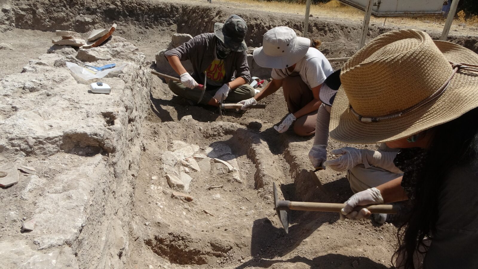 Ancient tomb uncovered in Türkiye’s 'village of mice' at Apollo Smintheion Sanctuary