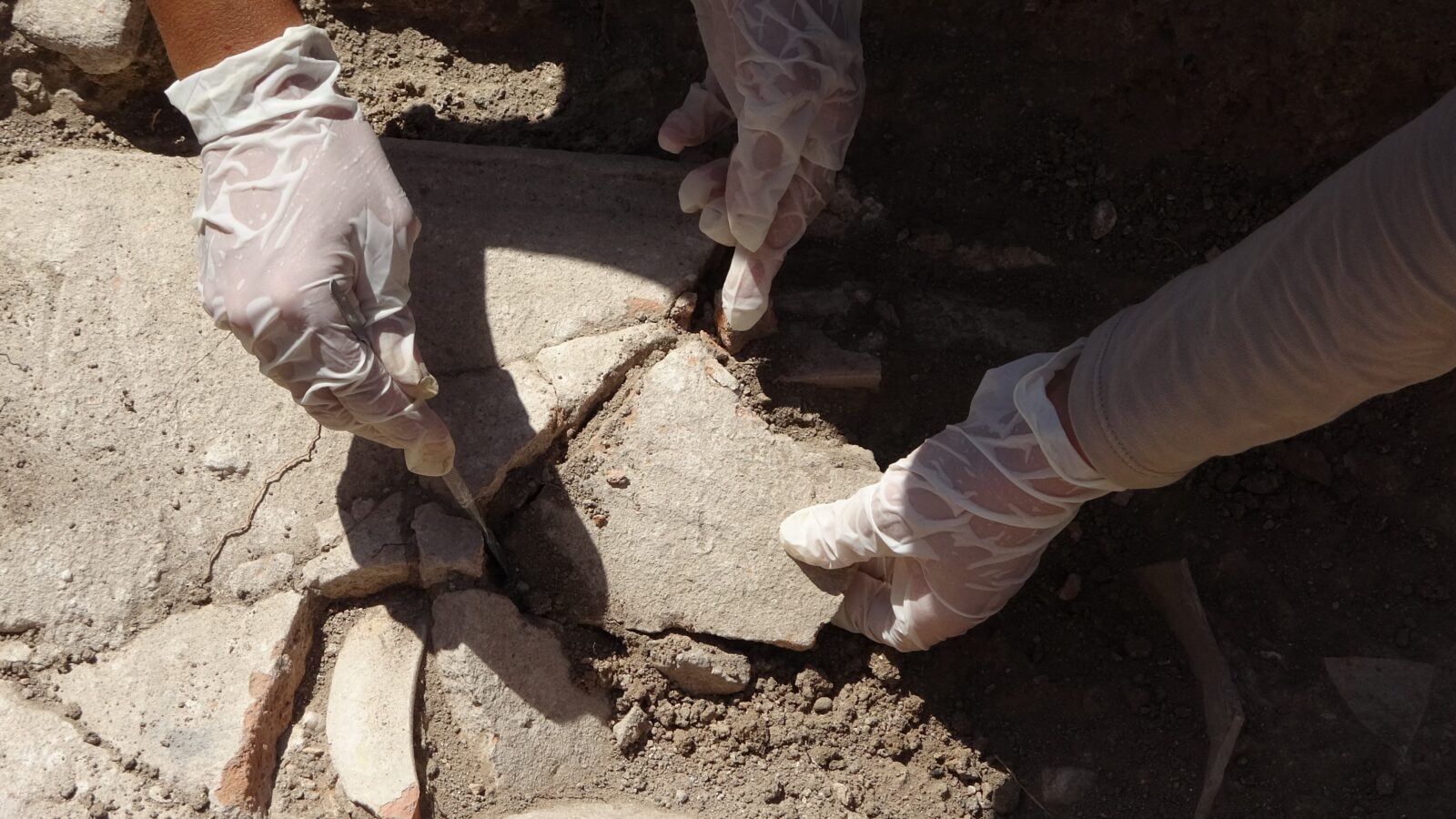 Ancient tomb uncovered in Türkiye’s 'village of mice' at Apollo Smintheion Sanctuary