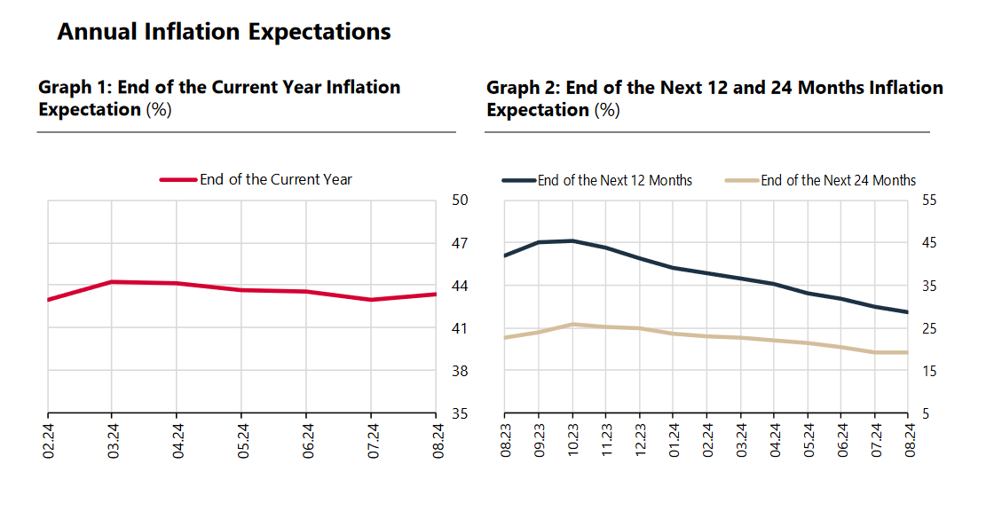 Türkiye’s finance minister predicts August inflation drop