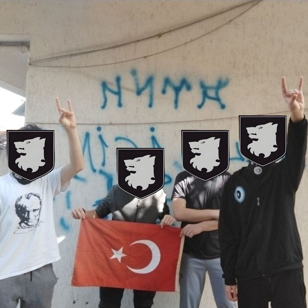 Unveiling Türkiye's neo-Nazis: Investigating rise of far-right extremism