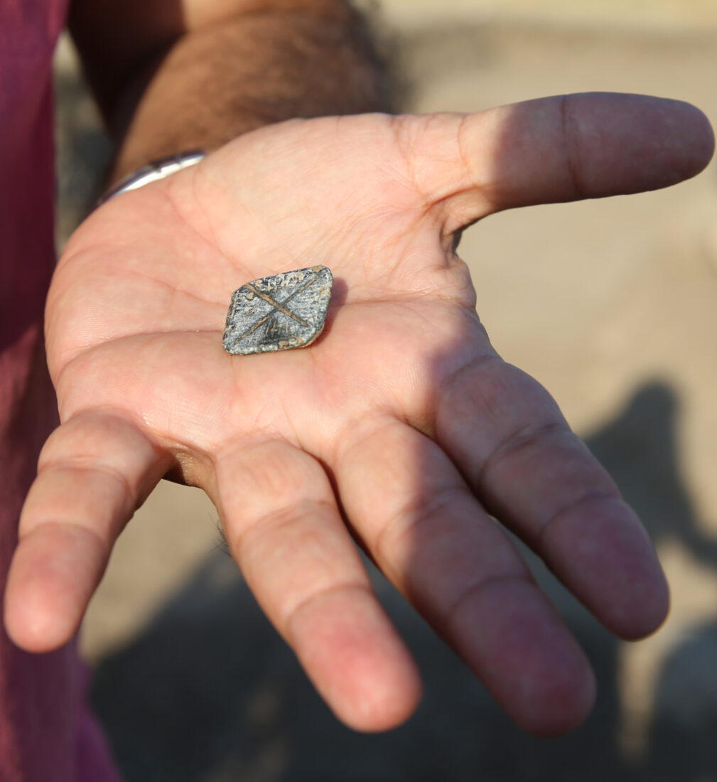 7,450-year-old silos and stamp seals unearthed at Domuztepe in Türkiye