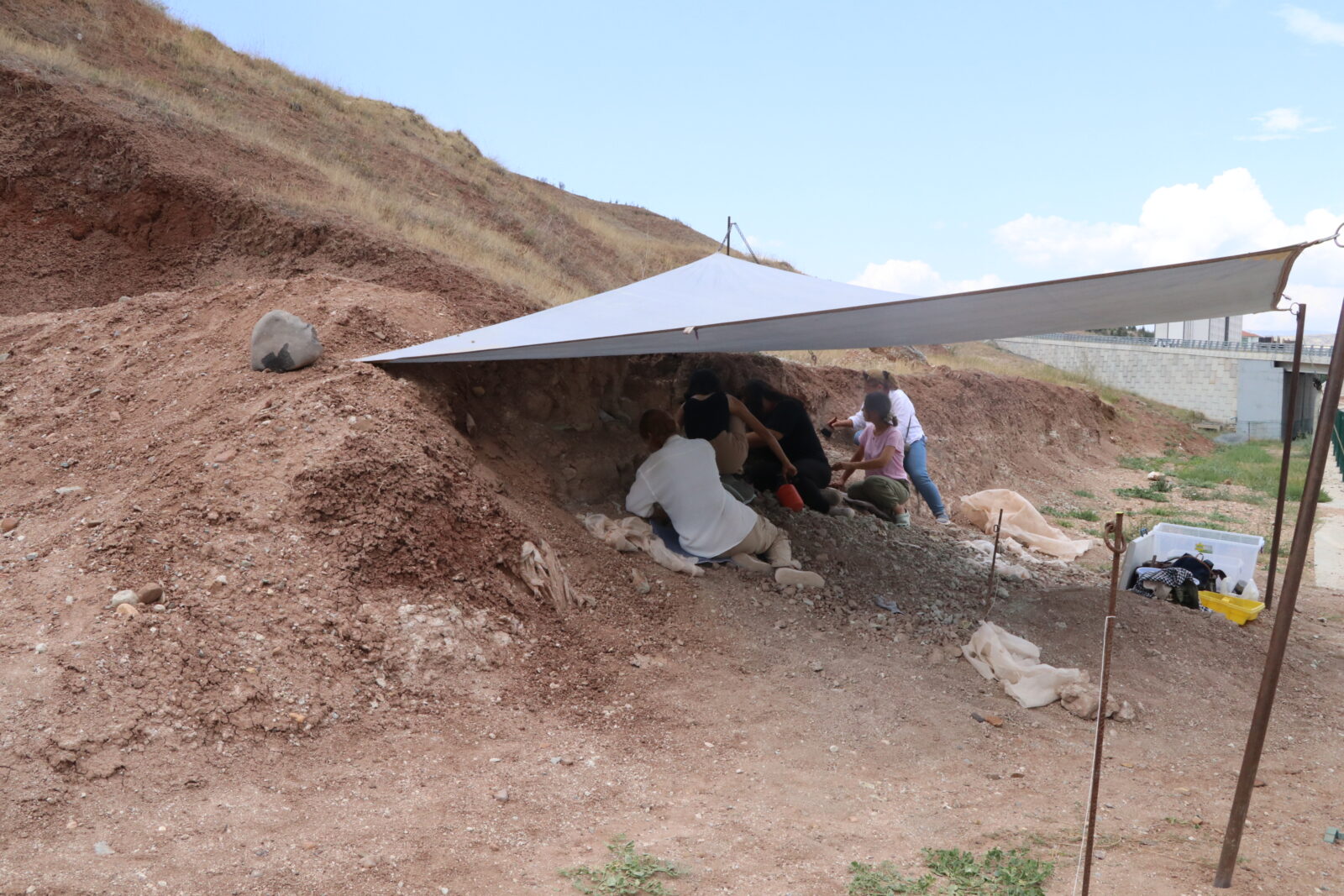 9-million-year-old prehistoric elephant bones discovered in Türkiye's Cankiri