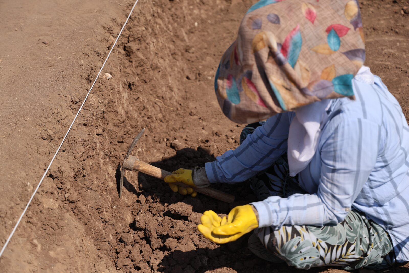 New discoveries unveiled in Türkiye: Southeast Anatolia's Neolithic period