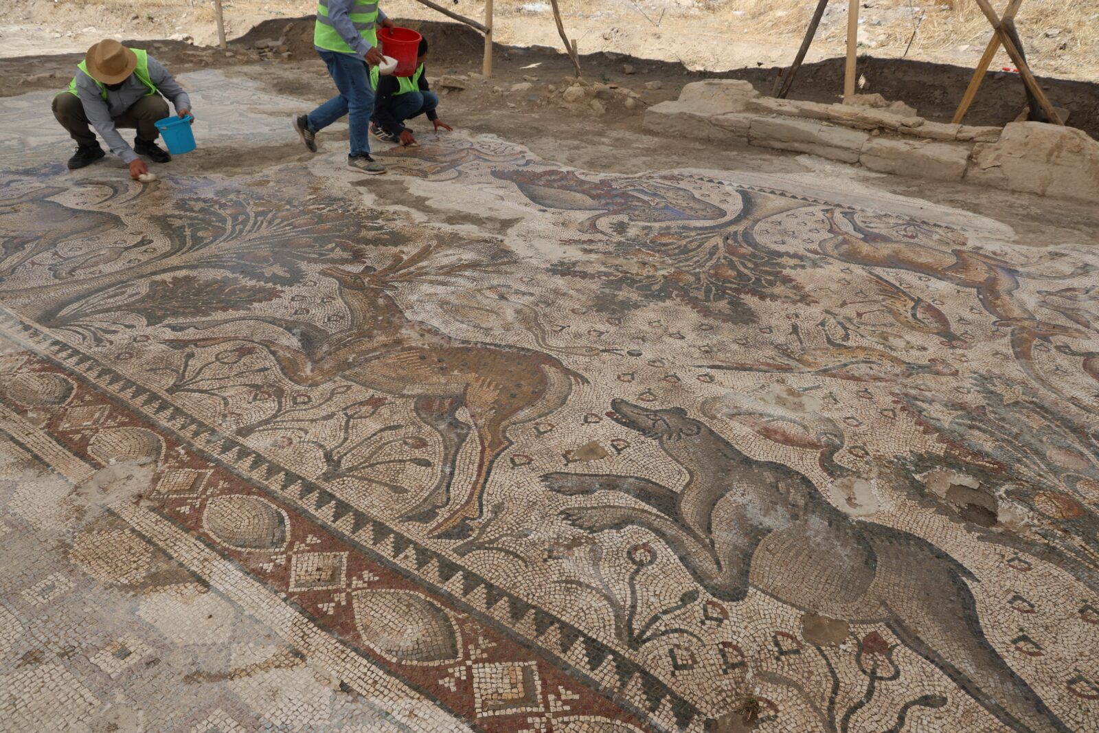 Türkiye's groundbreaking discovery: 84 square meter mosaic unearthed