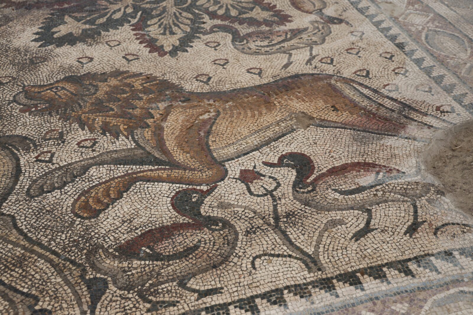 ancient mosaic