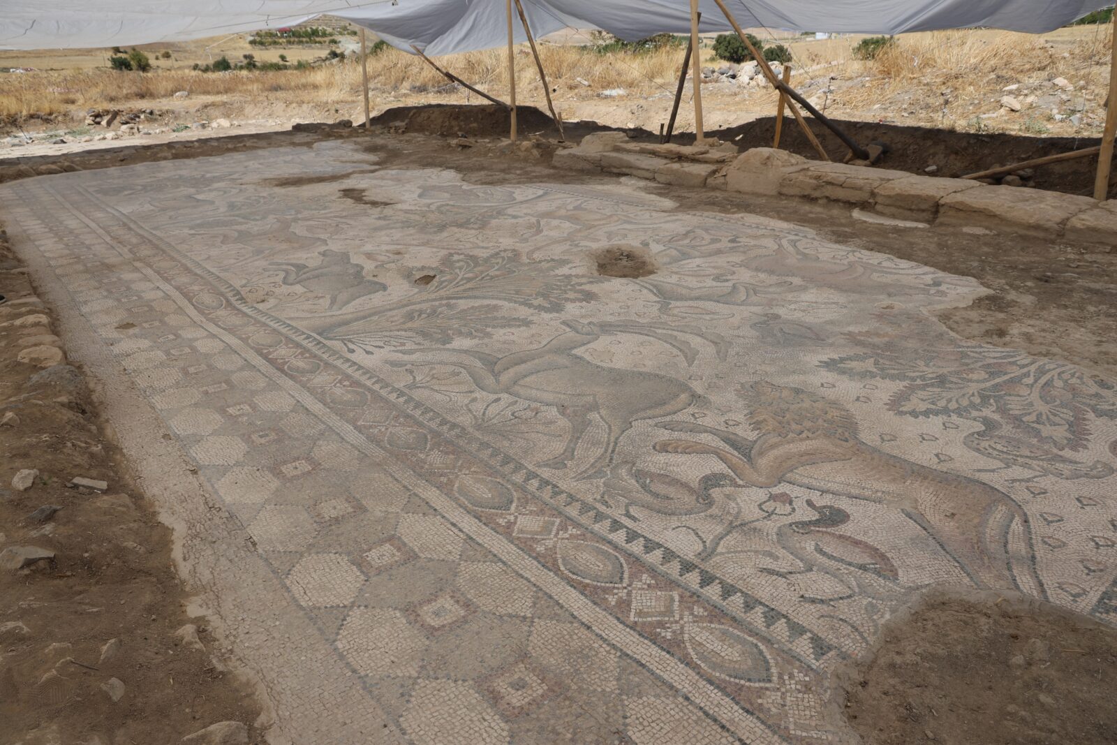 Groundbreaking archaeological discoveries shaping Türkiye's rich history in 2024