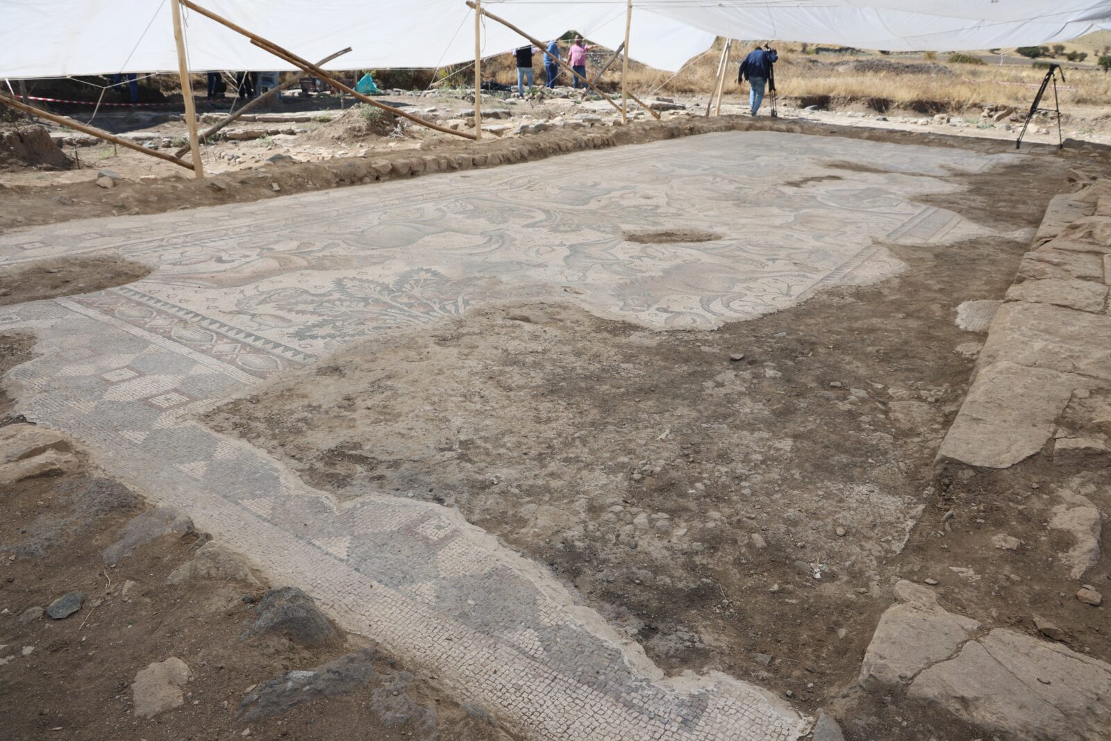 Türkiye's groundbreaking discovery: 84 square meter mosaic unearthed