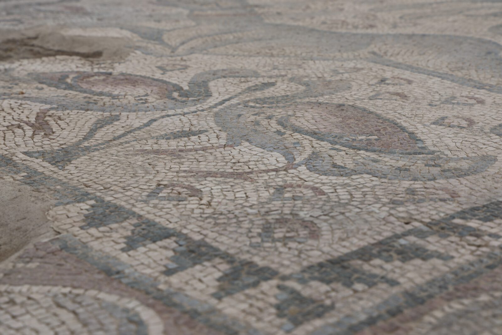 Türkiye's groundbreaking discovery: 84 square meter mosaic unearthed