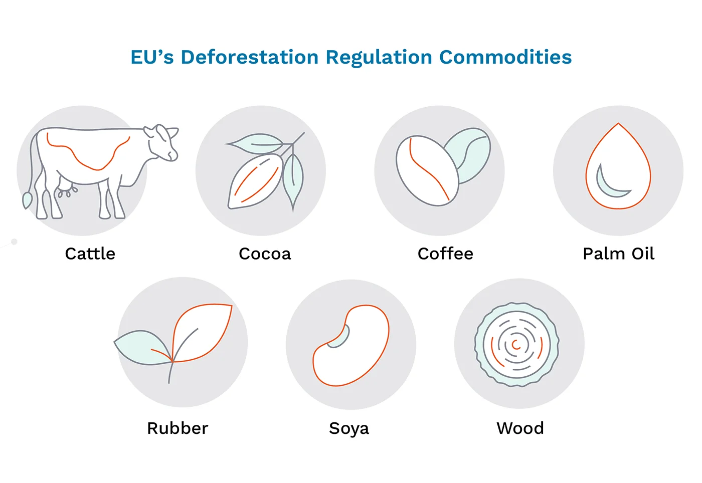 EU’s Deforestation Regulation initiates challenging process for companies