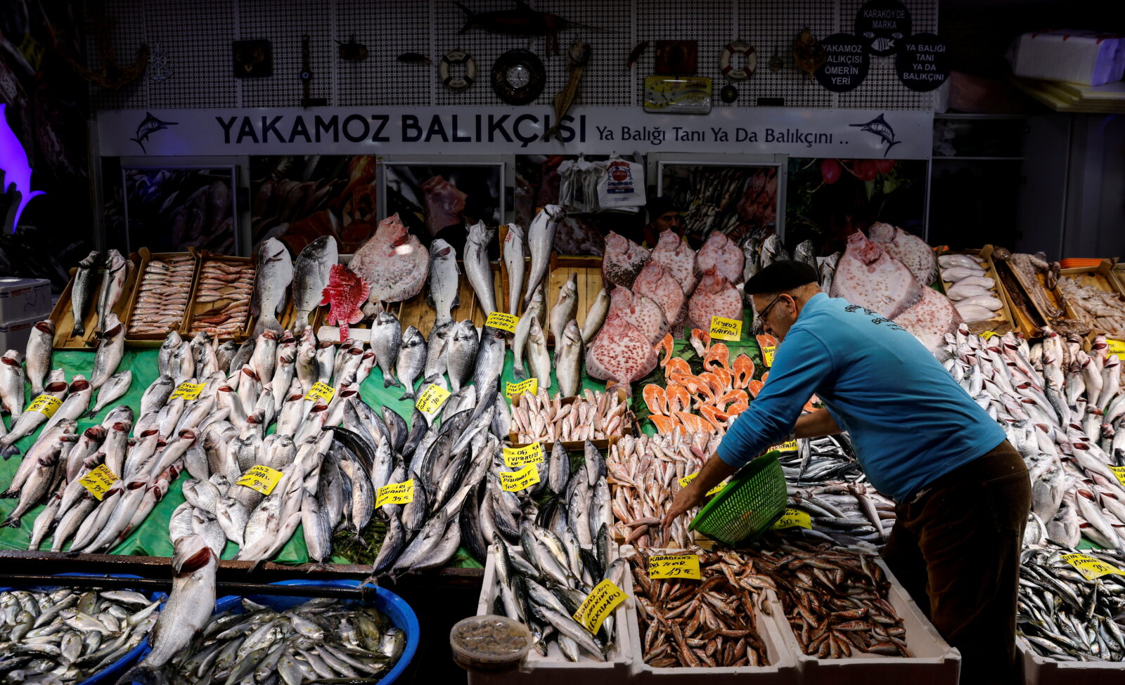 EU food standards to be adopted in Türkiye