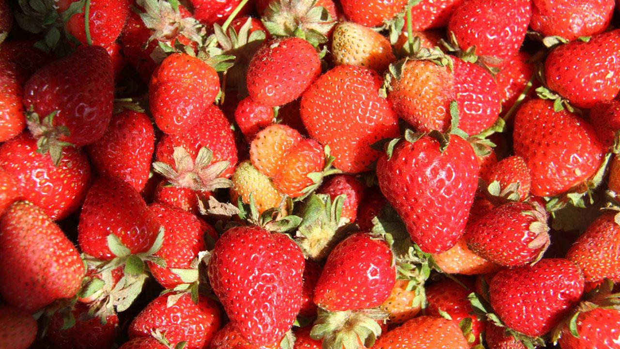 Huyuk strawberries become Türkiye's 25th EU-registered geographical indication