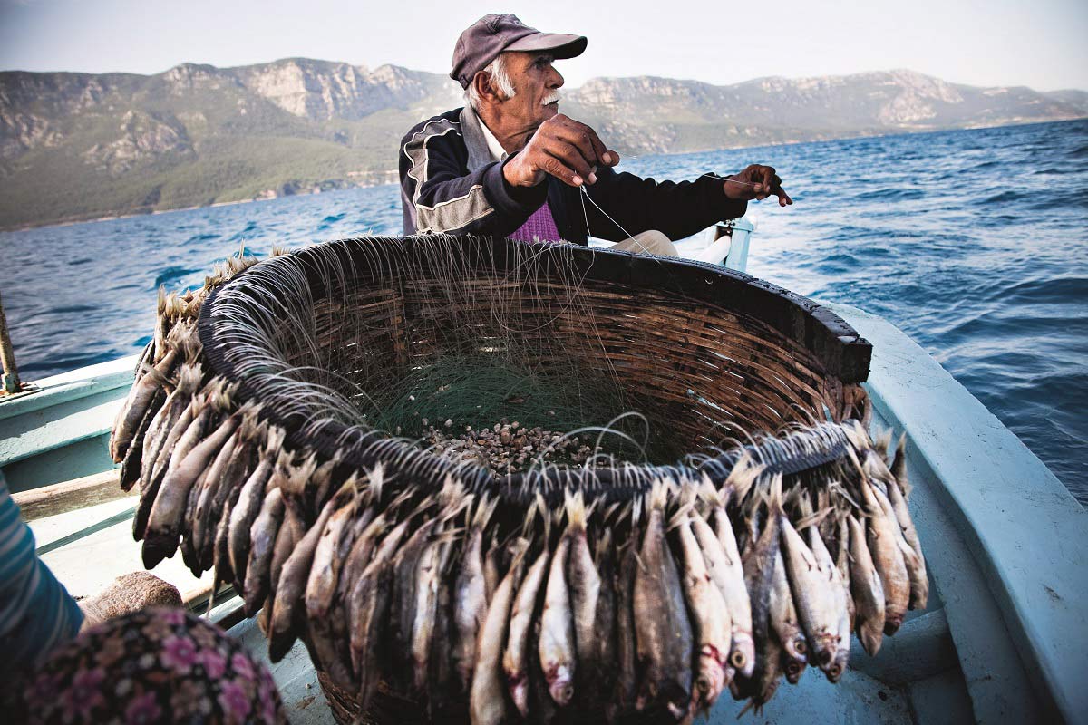 Türkiye's seas in danger: Growing threat of unregulated overfishing and pollution