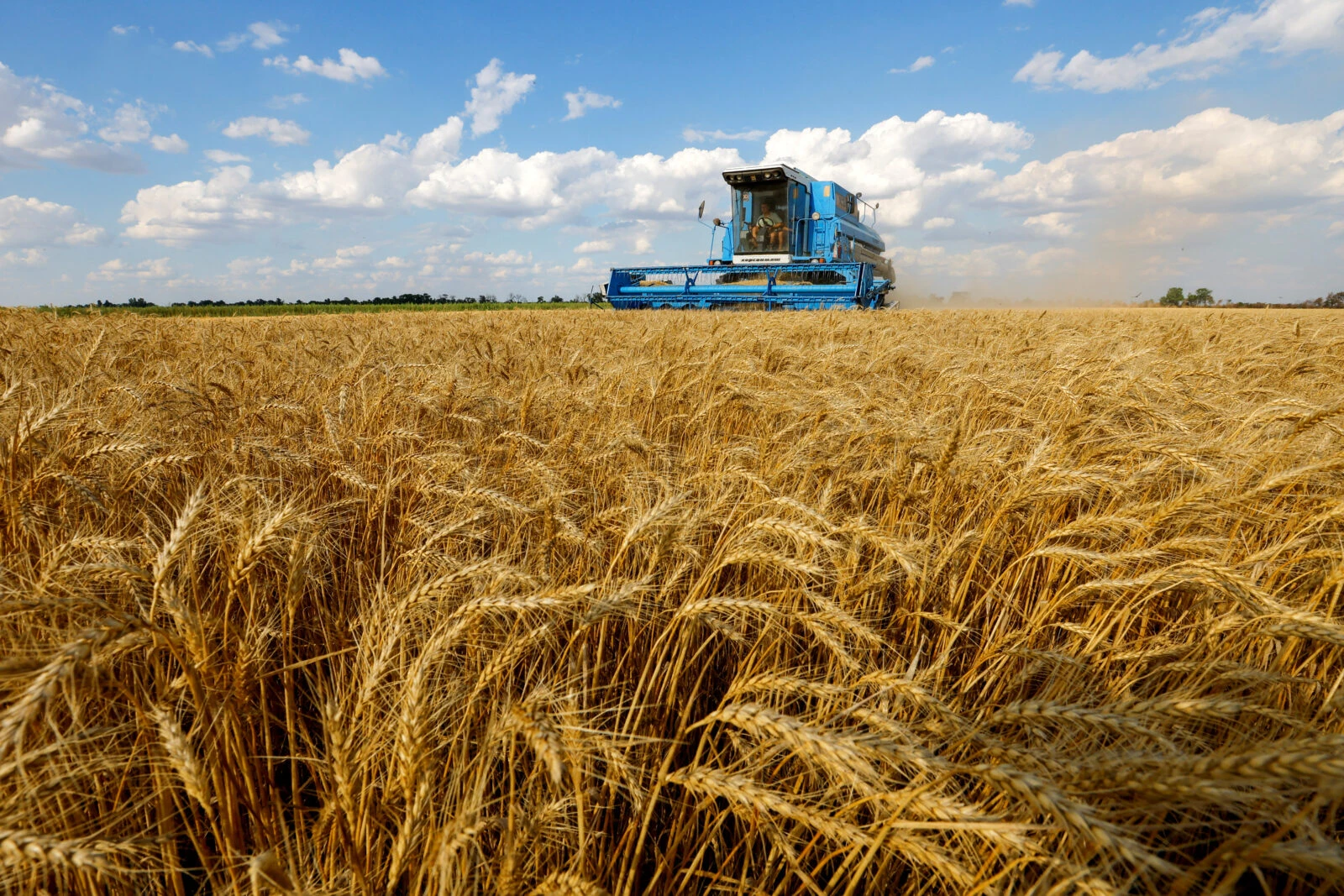 One in every 4 flour packages around globe features Türkiye’s signature