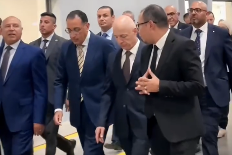 Turkish Beko opens 46th factory in Egypt, key officials attending