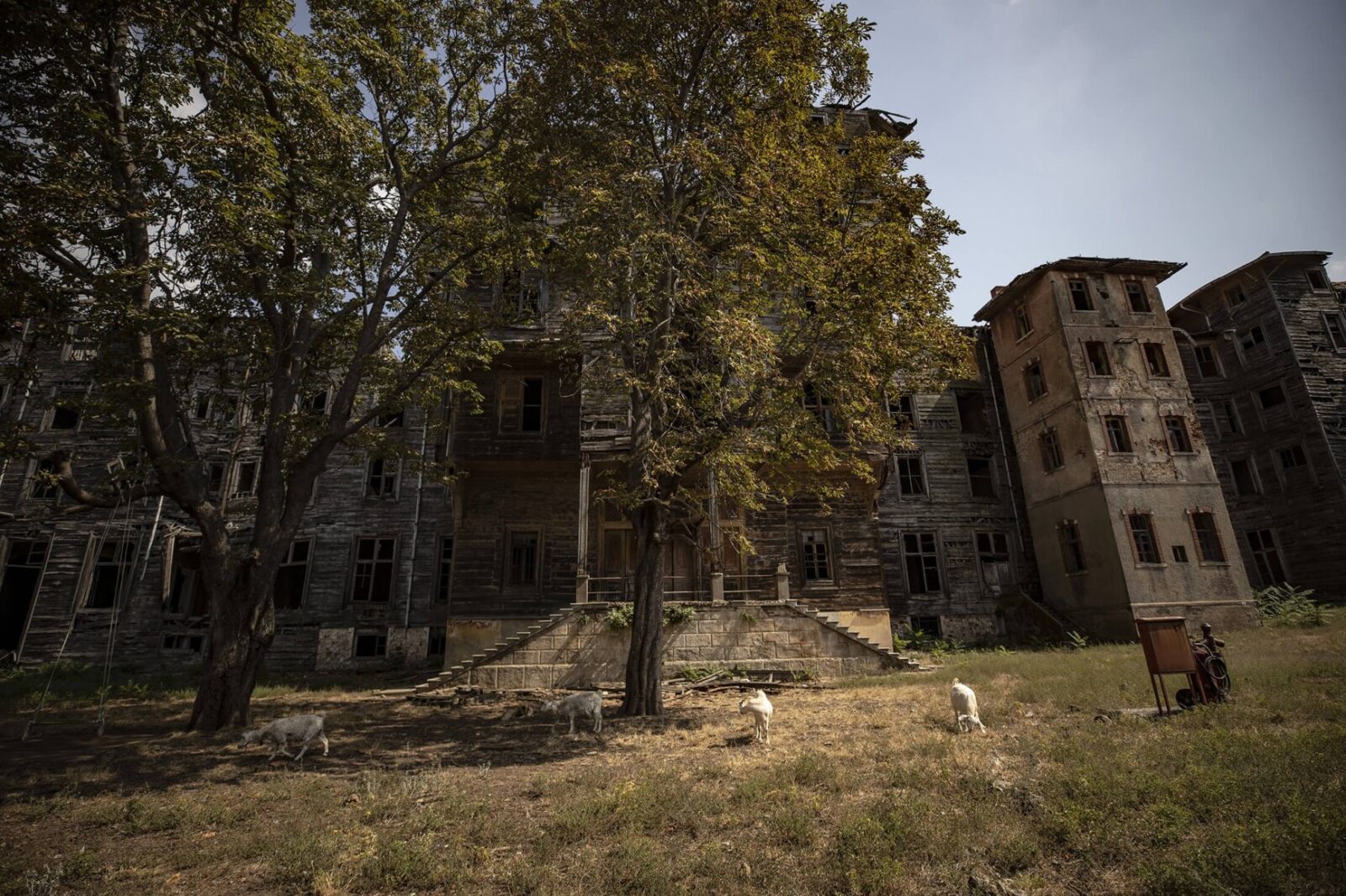 Prinkipo Greek Orthodox Orphanage: Secret gem on Istanbul's Buyukada