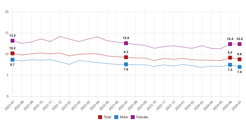 Türkiye's labor force statistics for July 2024: Unemployment rate declines to 8.8%