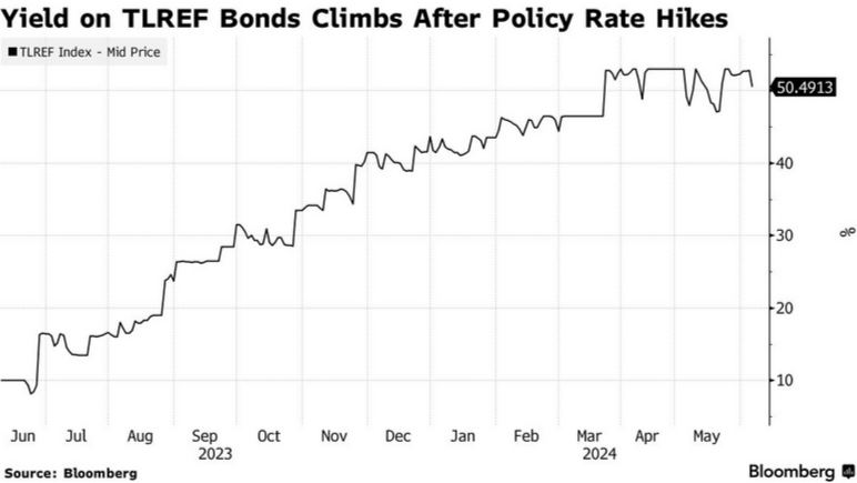 Türkiye's TLREF bonds yielding 50% attract foreign investors