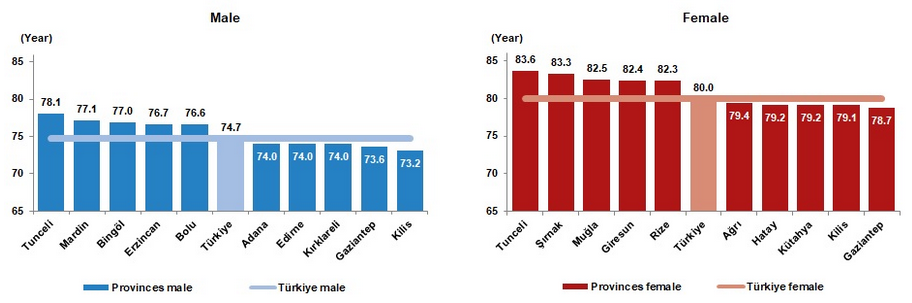 Life expectancy in Türkiye declines slightly to 77.3 years