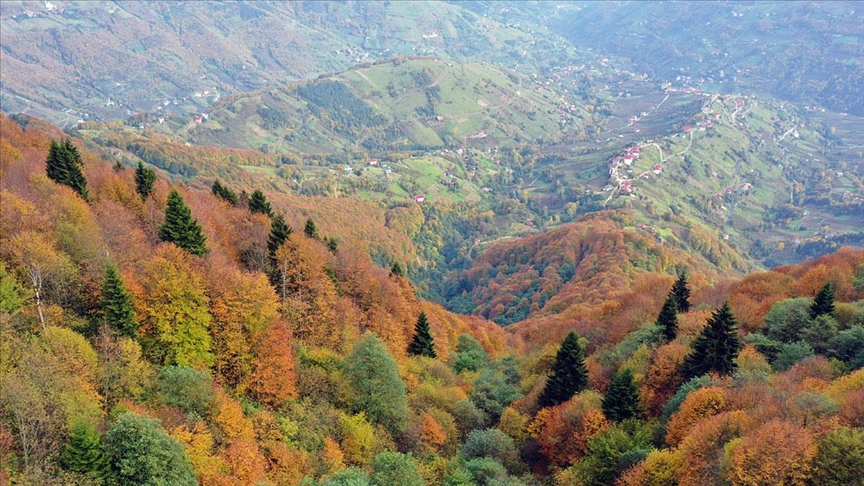 Ecotourism and Sustainable Travel in Türkiye