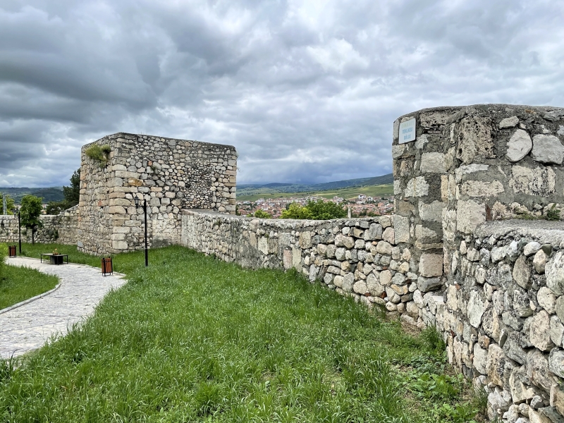 ‘Veni, vidi, vici’: Story behind Julius Caesar’s declaration in Türkiye