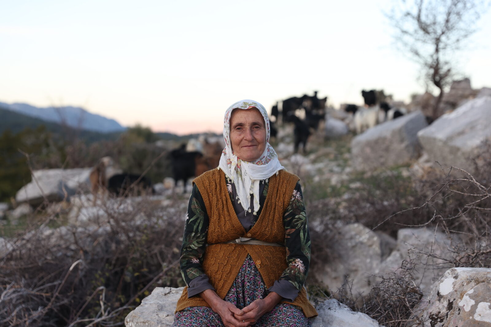 Turkish nomad Fatma: Shepherdess of Türkiye's ancient city of Selge