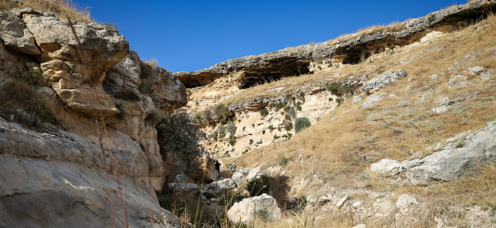 3,000-year-old settlement discovered on shores of Ataturk Dam Reservoir