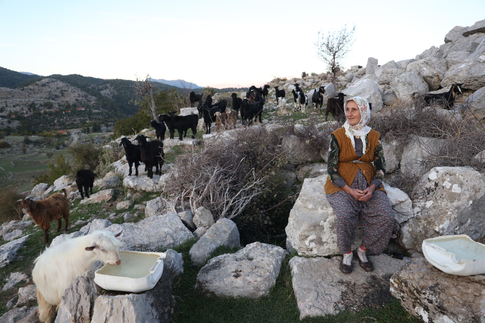 Turkish nomad Fatma: Shepherdess of Türkiye's ancient city of Selge