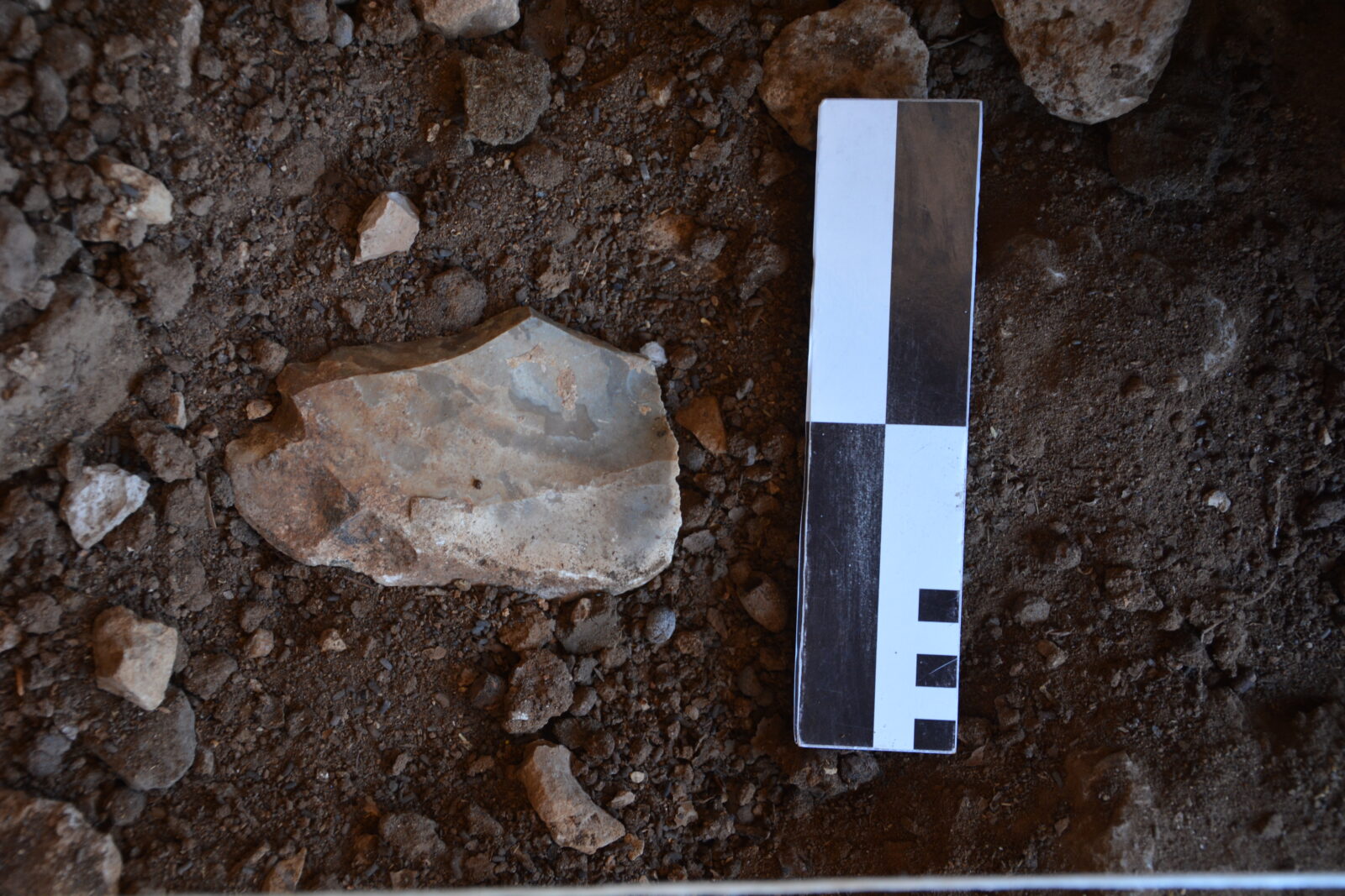 Archaeologists discover 450,000-year-old artifacts in Türkiye's Southeast