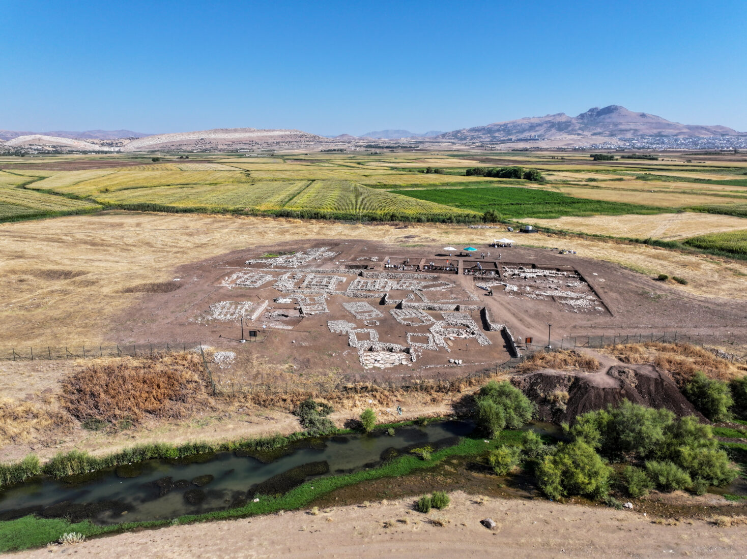 Türkiye's Cayonu uncovers ancient agricultural practices, cultural insights