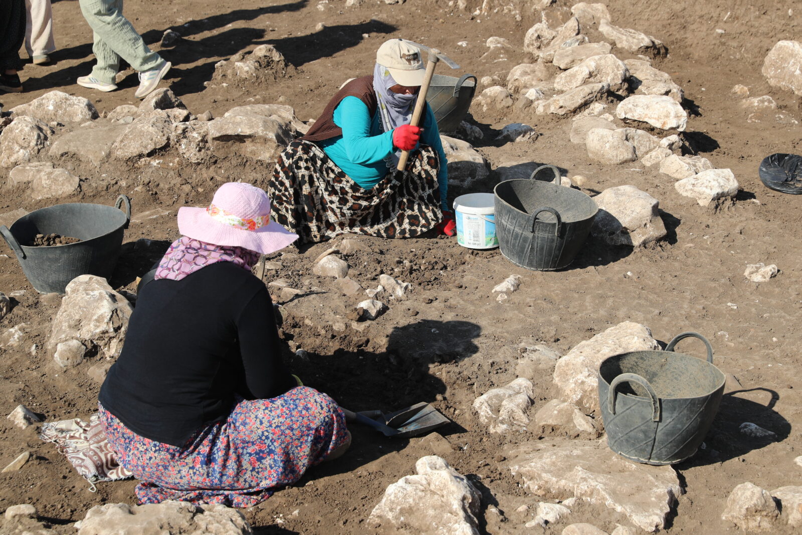 Türkiye's Cayonu uncovers ancient agricultural practices, cultural insights