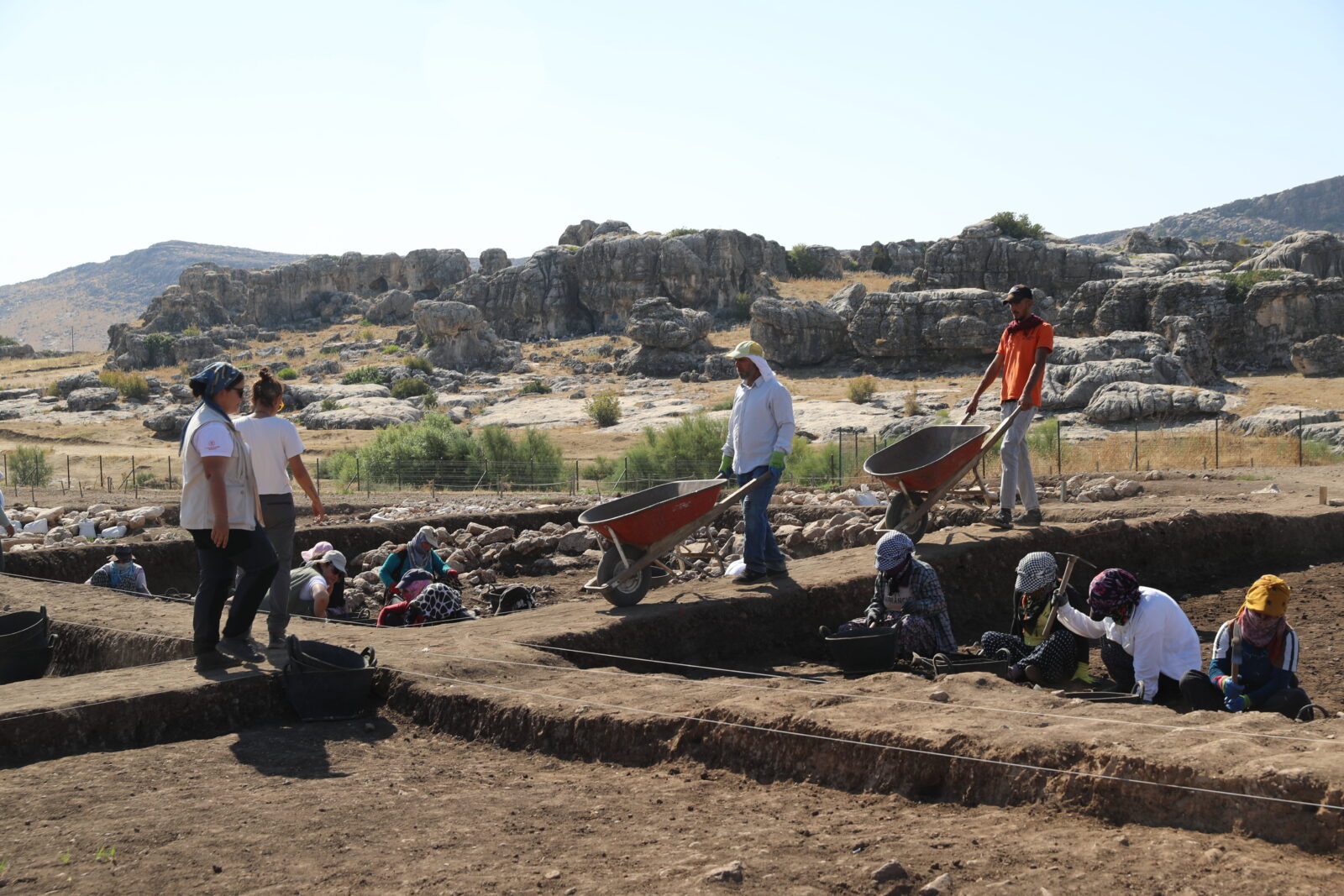 Türkiye's Cayonu uncovers ancient agricultural practices, cultural insights