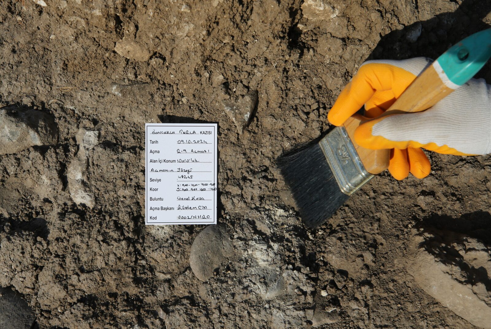 Boncuklu Tarla: 12,000-year-old archaeological site in Mardin unveils new insights