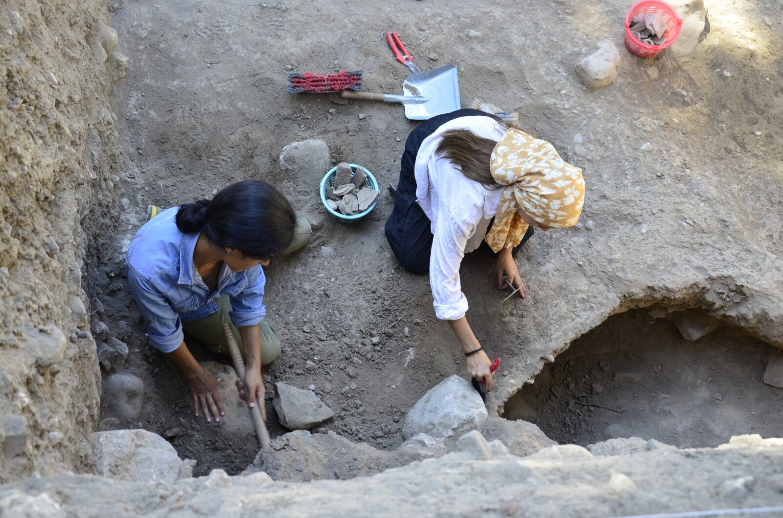 Ancient wheat discovery sheds light on Anatolia's agricultural heritage