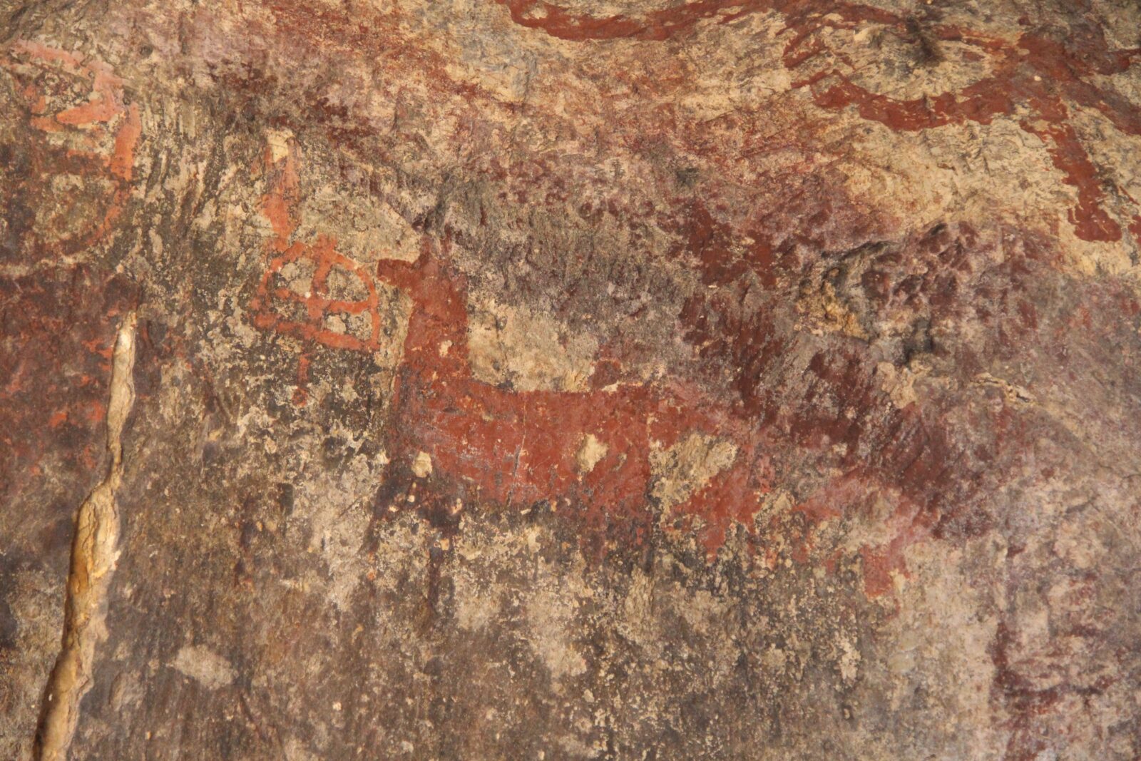 Mystery cave paintings in Türkiye's Sivas: Secret sanctuary or ancient art?