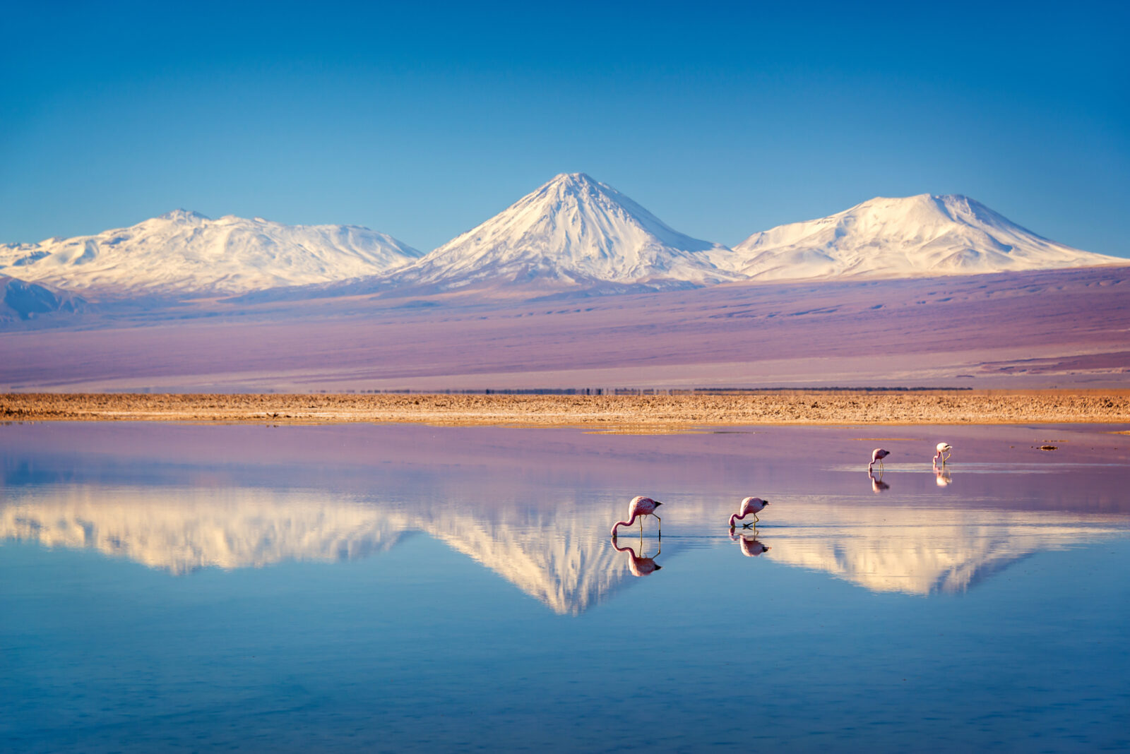 Ancient Indigenous art in Chile faces irreversible damage from mass tourism