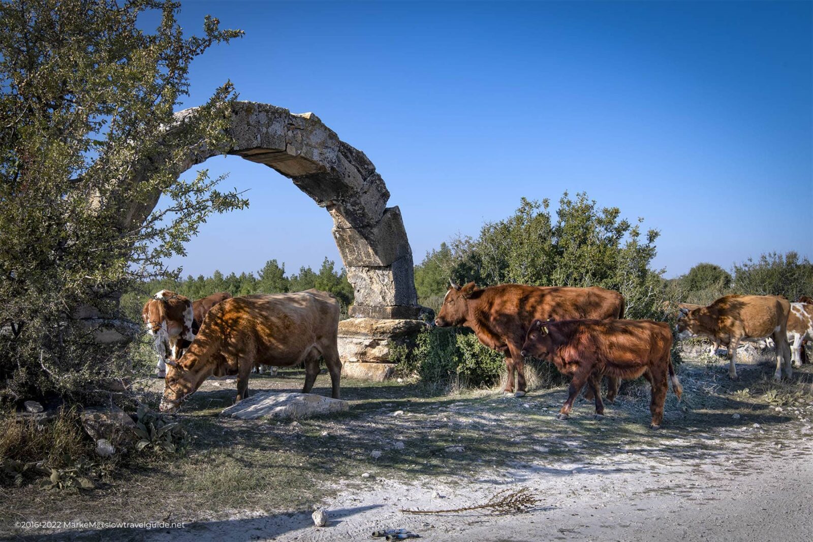 Blaundus: Türkiye’s hidden 'Stonehenge' and mysterious Mesotimolos