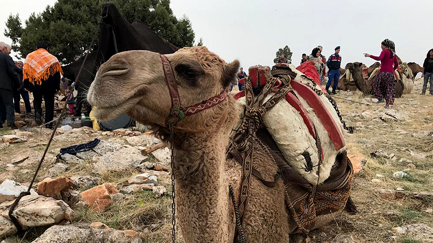 Journey of Anatolian nomads: Sarikecili Yoruks preserve centuries-old traditions