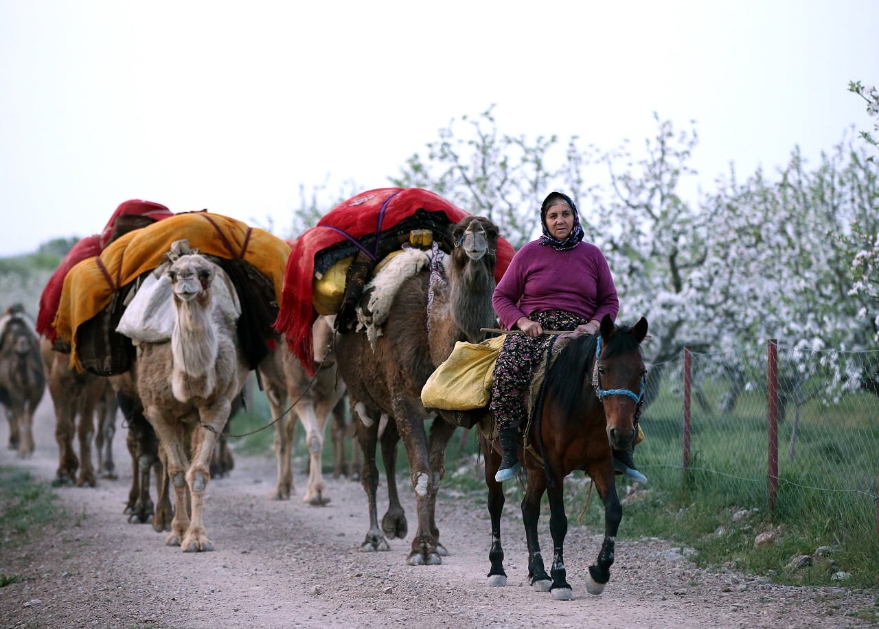 Anatolian nomads: Sarikecili Yoruks