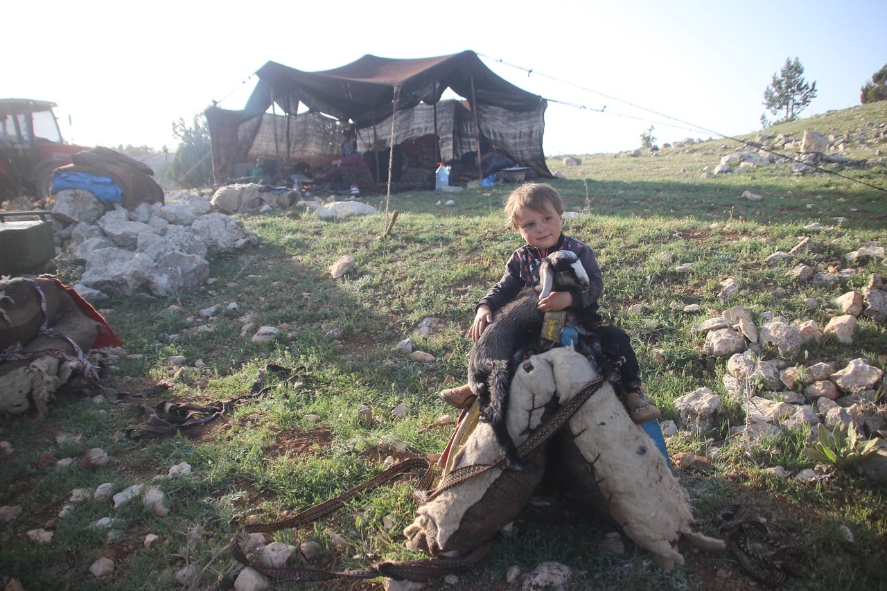 Anatolian nomads: Sarikecili Yoruks