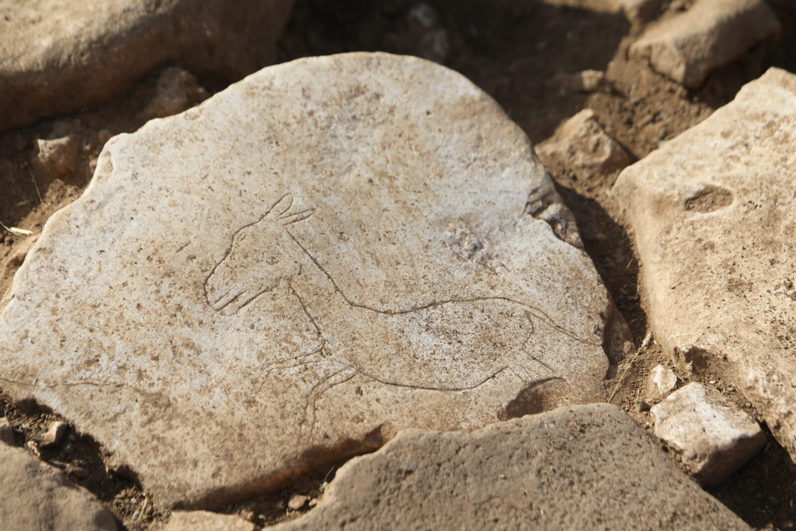 Karahantepe’s hidden relics leopard bones, fire pits in Türkiye reveal Neolithic mysteries