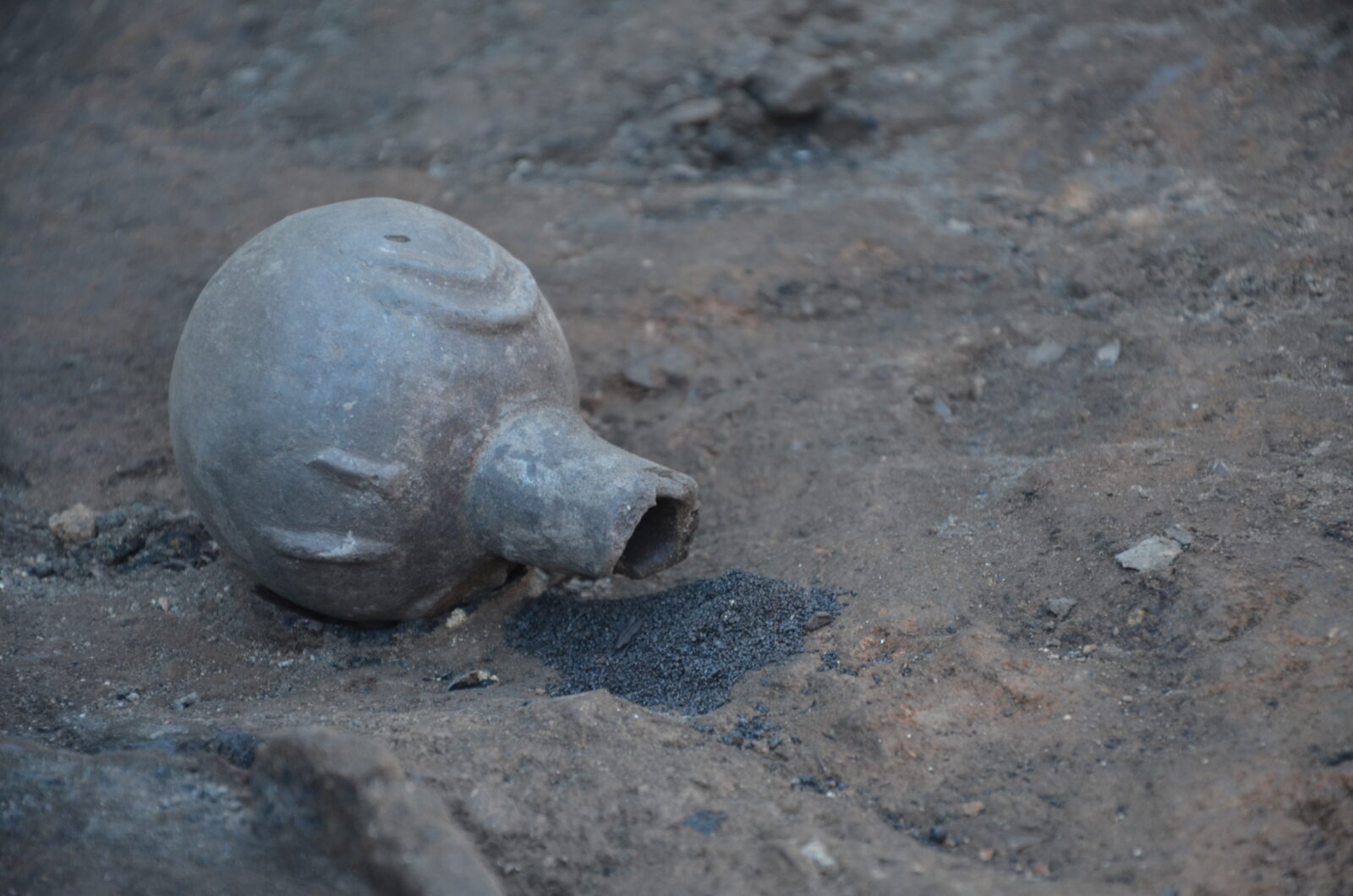 Ancient grains reveal 5,000 years of farming history in Türkiye's Seyitomer Hoyuk